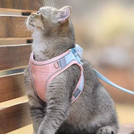 Coleira Peitoral Anti-Fuga + Guia para Passeio com Gatos