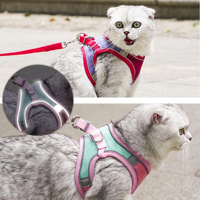 Coleira Peitoral Anti-Fuga + Guia para Passeio com Gatos
