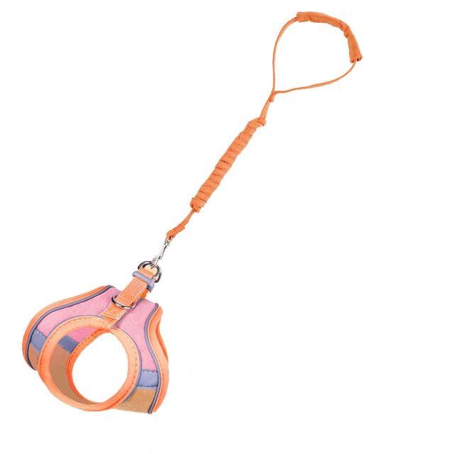 Coleira Peitoral Anti-Fuga + Guia para Passeio com Gatos