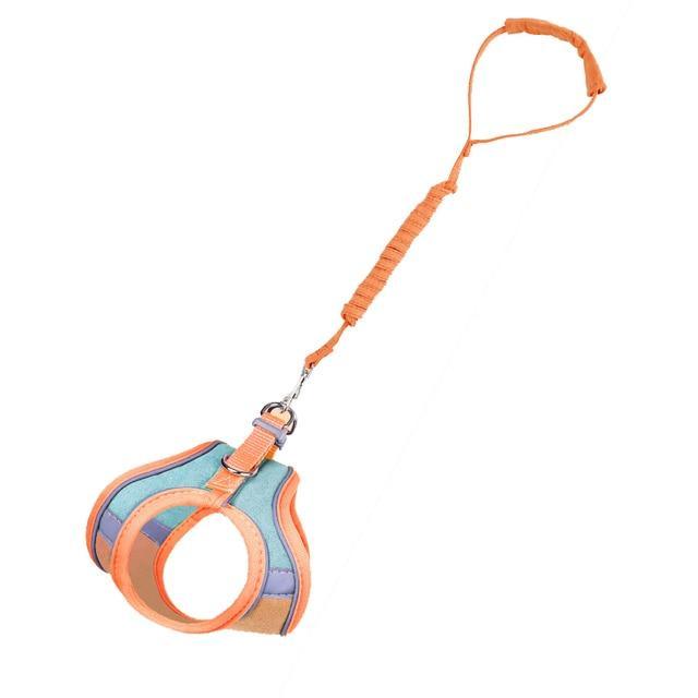 Coleira Peitoral Anti-Fuga + Guia para Passeio com Gatos